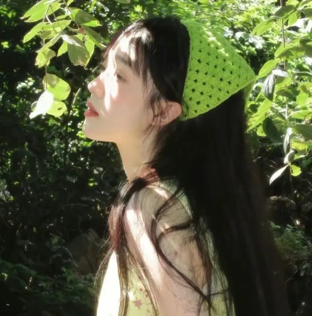 昭昭明月入君怀